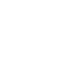 icon-qubic-ace