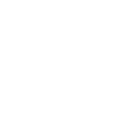 icon-qubic-easy