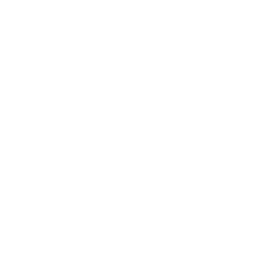 icon-qubic-head