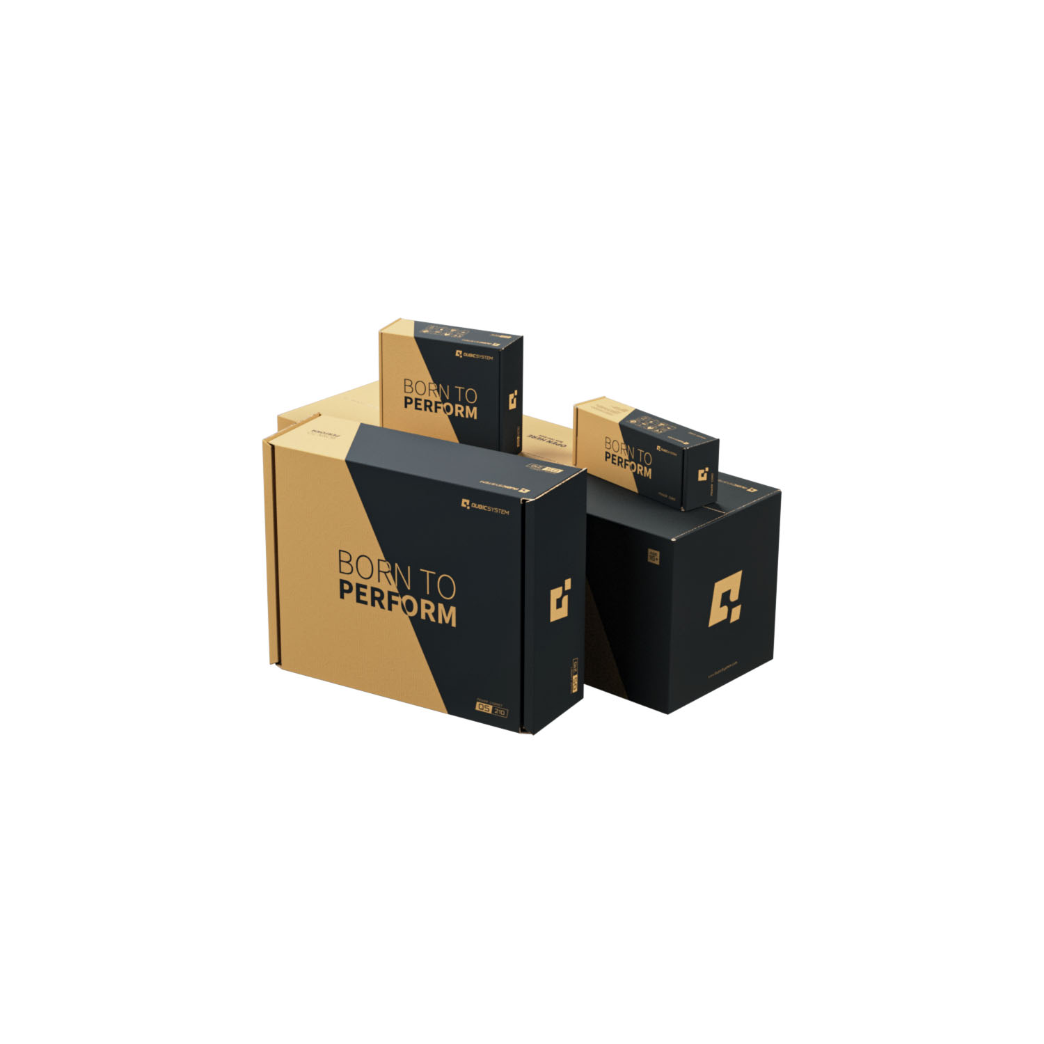 QS 210 2dof 01